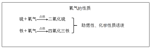 2020年下半年中学教师资格证笔试真题及答案：初中科学（网友版）