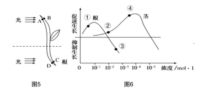 2020年下半年中学教师资格证笔试真题及答案：高中生物（网友版）