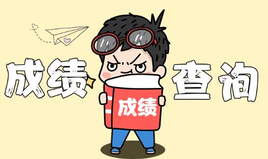 对河南教师资格证成绩查询有异议怎么办